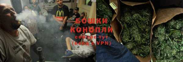 ПСИЛОЦИБИНОВЫЕ ГРИБЫ Аркадак