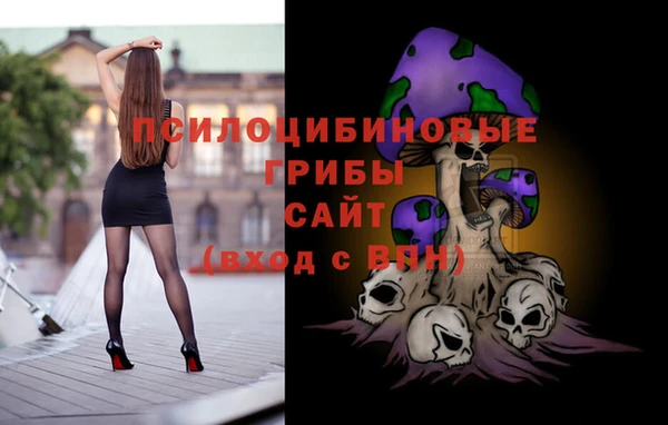 дживик Арсеньев