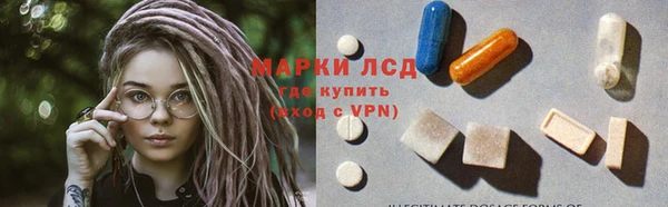 ПСИЛОЦИБИНОВЫЕ ГРИБЫ Михайлов