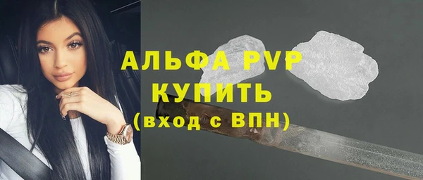 дживик Арсеньев