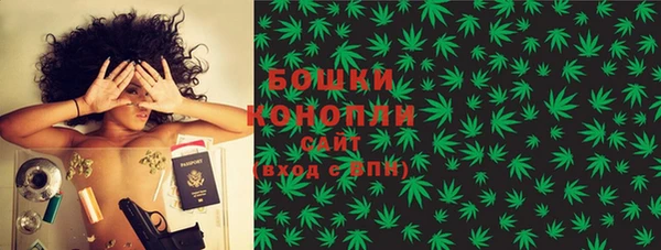 ПСИЛОЦИБИНОВЫЕ ГРИБЫ Аркадак